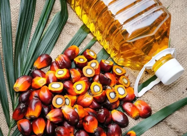 PALM OIL