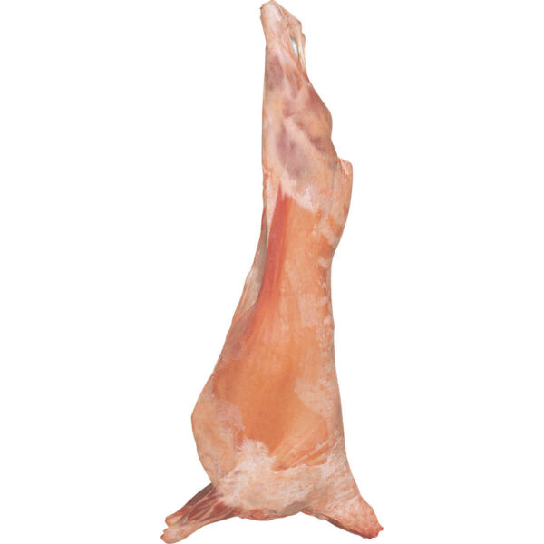 Spring Full Lamb