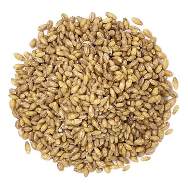 Organic Hulled Barley