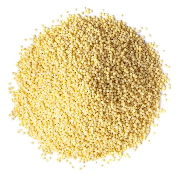Organic Millet Seeds